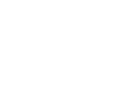 Fósseis