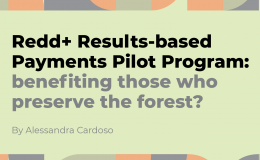Redd+ Results-based Payments Pilot Program: benefiting those who preserve the forest?