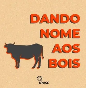 Dando nome aos bois