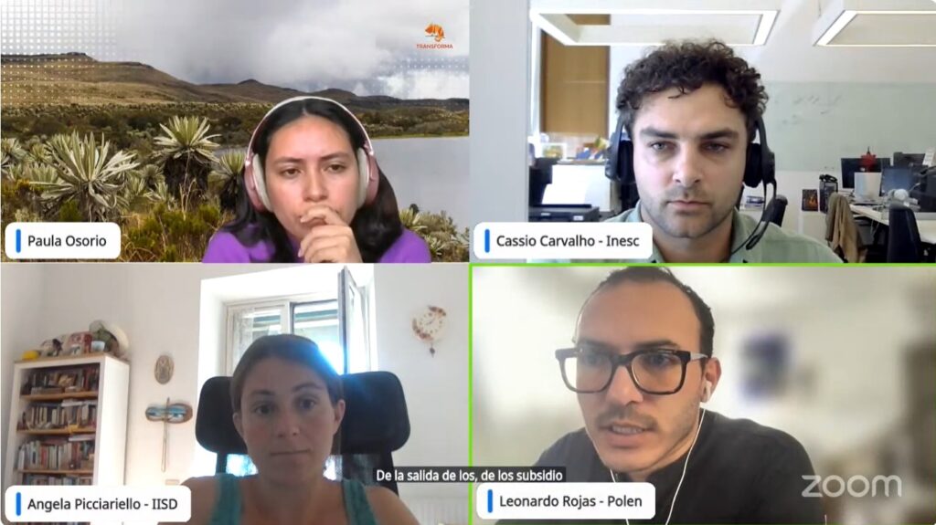 imagem mostra quatro participantes do webinário sobre subsídios aos combustíveis fósseis